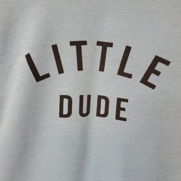 Adorable Blue/Grey Boys Long Slv Crew Neck Sweater "Little Dude" Sz 5T - Picture 3 of 8